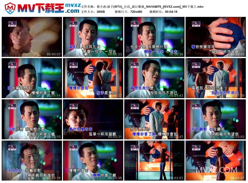 蔡小虎-放手(MTV)_台语_流行歌曲_MA104879